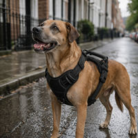 Virido™ No-Pull Hondentuig + Gratis Riem