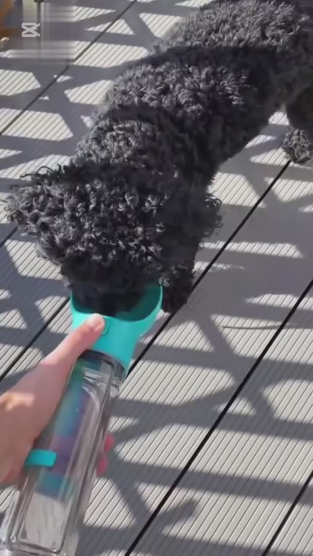 Virido™ 4-in-1 Honden Reisfles met Voederbakje